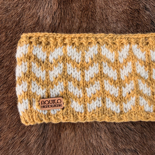 Aurora Headliner